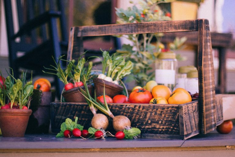 vegetable_basket_1